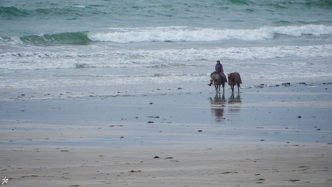 la cavalière sur la plage de l'Aber