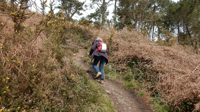 Simone sur le GR 34 au dessus de l'anse St Nicolas