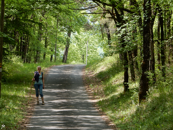 Simone sur le GR de pays Cordes Penne Coustous