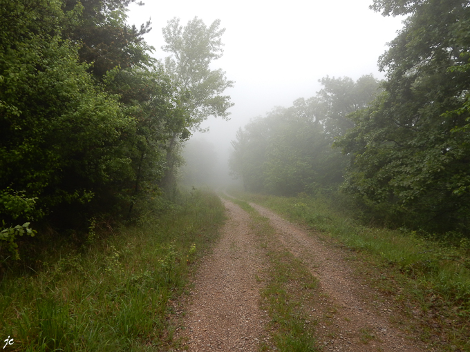 ma rando de l'après midi dans la forêt de Grésigne