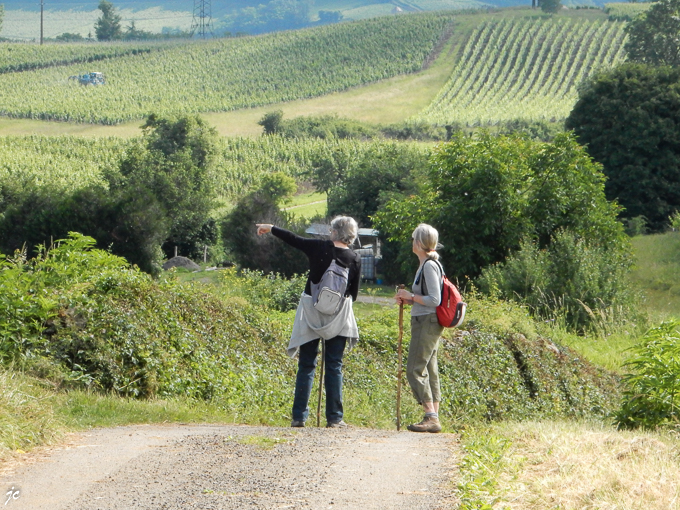 Ghislaine et Simone dans le vignoble à Arbois