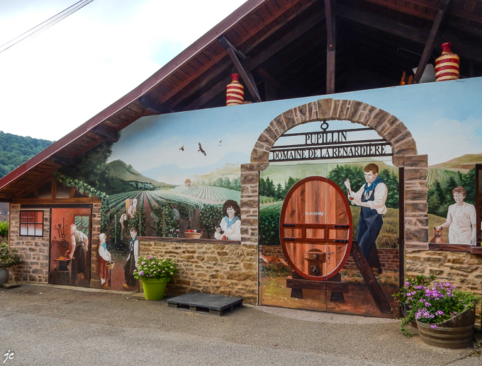 au domaine de La Renardière, vin bio