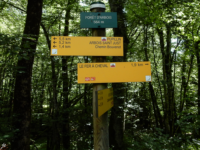 à l'intersection Forêt D'Arbois