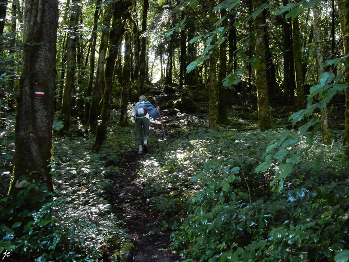 Simone sur le GR 59 dans la forêt d'Arbois
