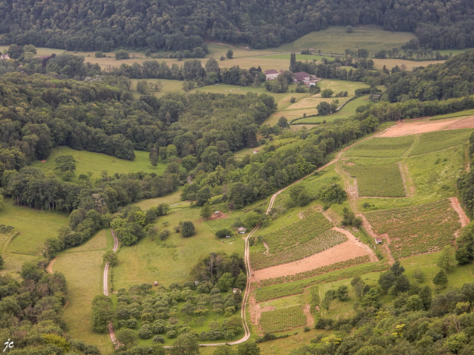 la vallée de la Cuisance vue du belvédère de La Roche du Feu