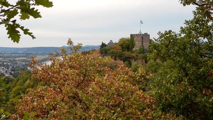 au dessus du camping le donjon du château Rheineck