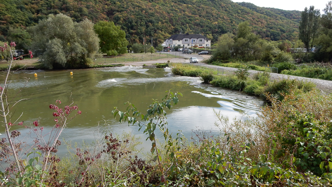 le mascaret sur un bras de la Moselle et l'entrée du camping à Hatzenport