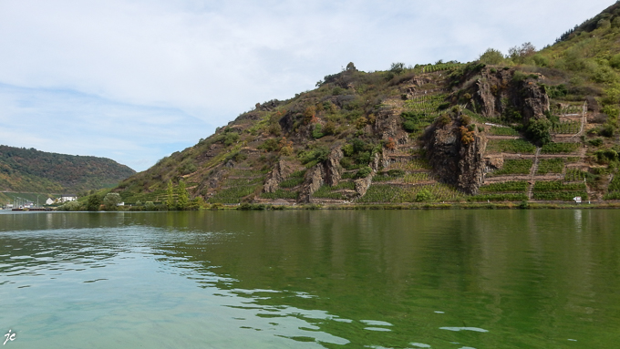 le vignoble à Ellenz Poltersdorf