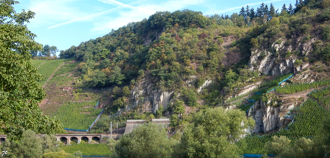 le vignoble et le viaduc sous le prinzenkopf