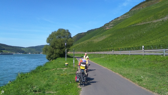Simone et les attelages avant Zeltingen