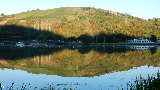 le paysage mosellan à la sortie de Wintrich
