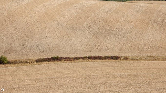 le champ sur la route de Molesmes