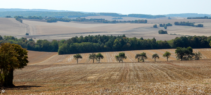 sur la D9 entre Lain et Le Deffand