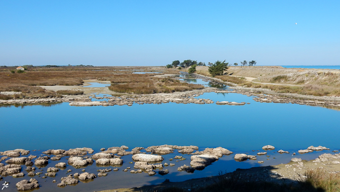 le polder de Sébastopol près du passage du Gois