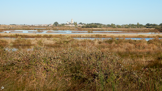 l'église et le château de Noirmoutiers en Île