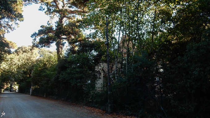 dans le bois de la Chaise