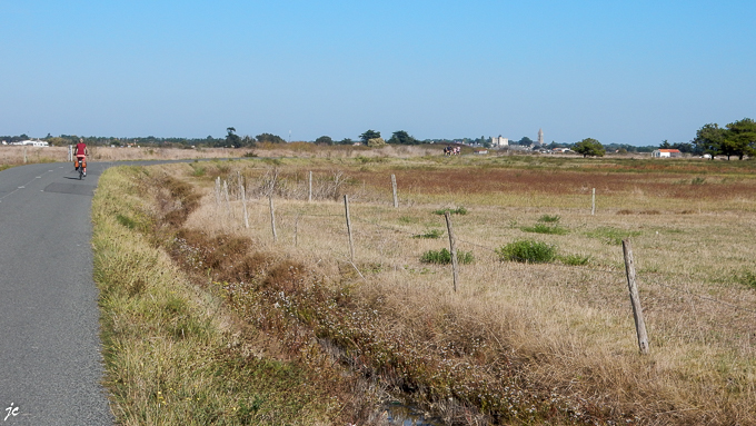 la vue sur Noirmoutier en l'Île de la D96