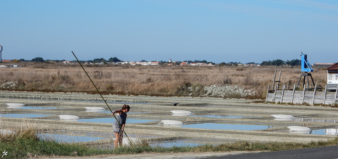 la paludière dans les marais salants