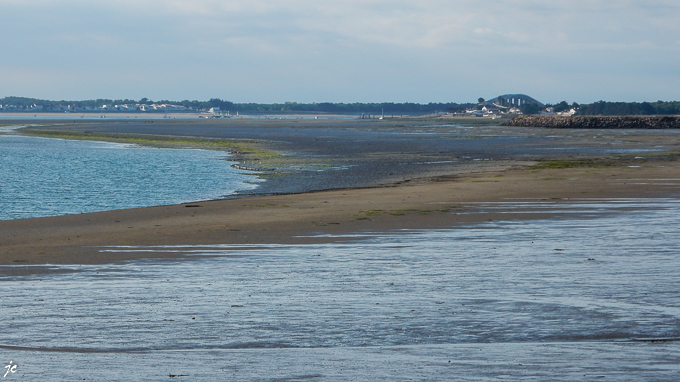 le pont de Noirmoutier vu du parcours à vélo "entre Gois et Forêts"