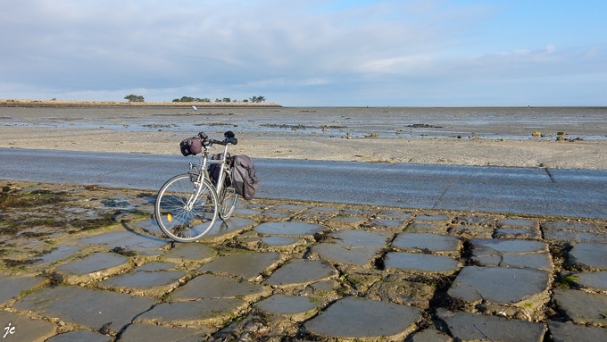 sur le gois côté Île