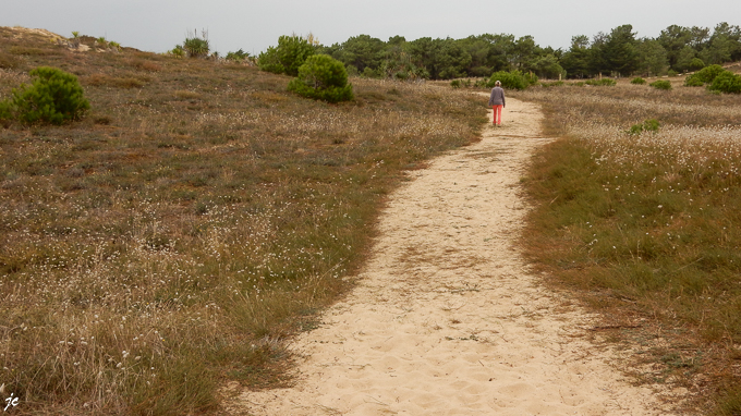 Simone dans les dunes à la Barbâtre