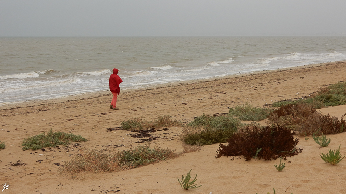 Simone dans la tourmente sur la plage à La Guérinière