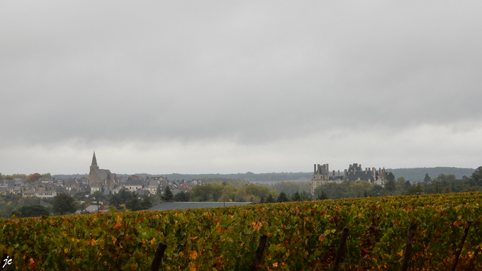 le vignoble au dessus de Brissac Quincé