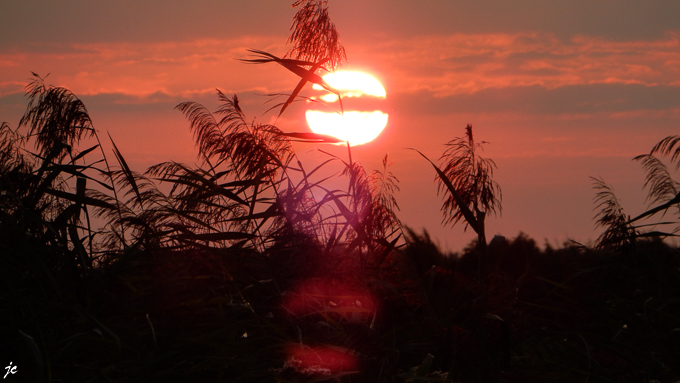 le coucher du soleil sur le camping à Alphen an den Rijn