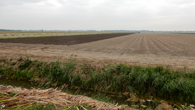 le paysage agricole à Benthuisen