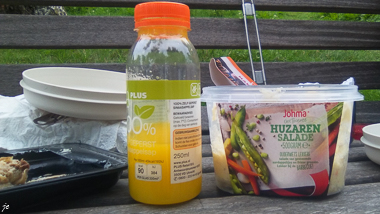 le déjeuner au bord du Bergse Voorplas près de Rotterdam