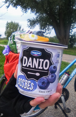 le déjeuner au bord du Bergse Voorplas près de Rotterdam