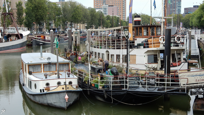 la vie sur l'eau à Rotterdam